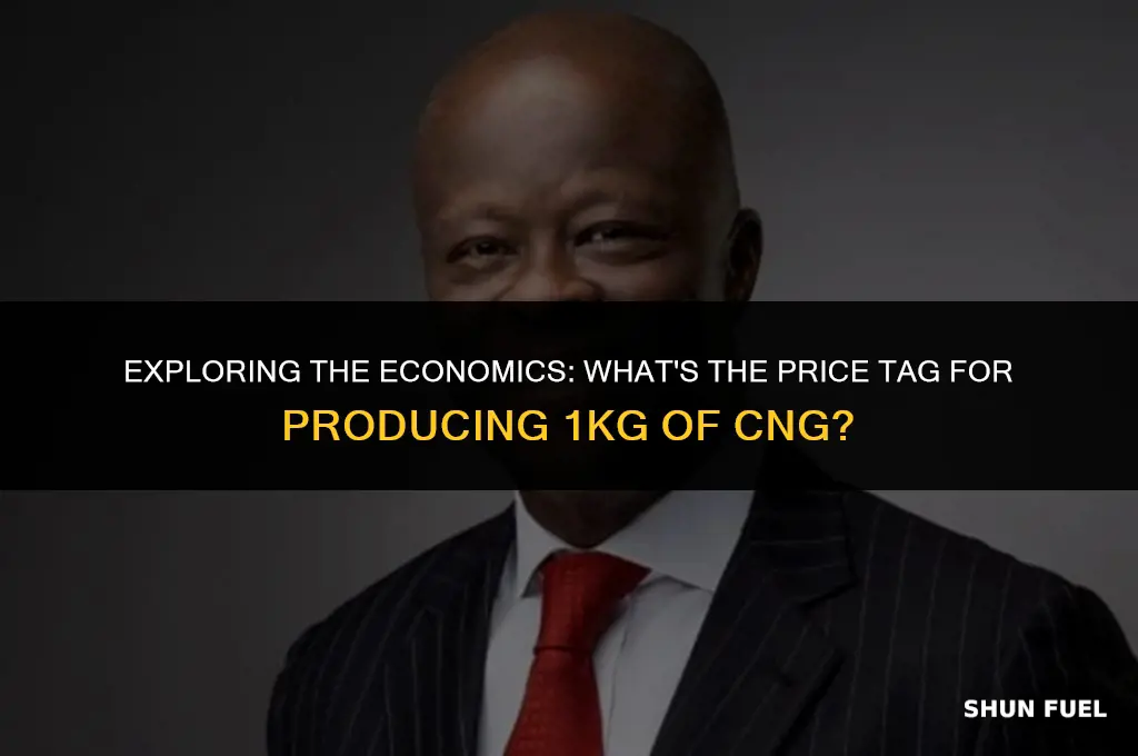 how much does it cost to make 1kg of cng