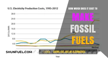 The Hidden Costs of Fossil Fuels: Production Expenses Revealed
