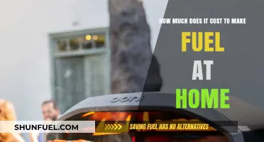 Making Fuel at Home: What's the Cost?