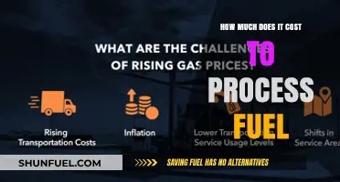 The True Cost of Fuel Processing