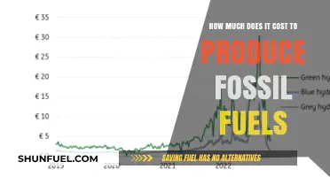 The True Cost of Fossil Fuel Production