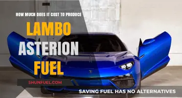 The True Cost of Producing Lambo Asterion Fuel