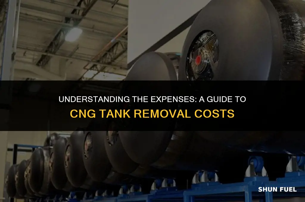 how much does it cost to remove a cng tank