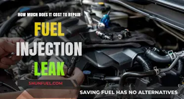 Fuel Injection Leak Repairs: Cost and Factors