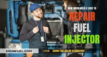 Fuel Injector Repair: Expensive Maintenance or Affordable Fix?