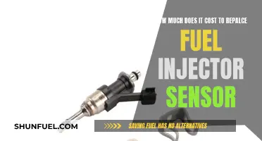 Fuel Injector Sensor Replacement: Cost and Car Maintenance