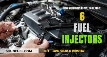 Fuel Injector Replacement: Costing You a Fortune?
