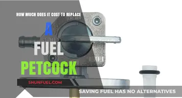 Fuel Petcock Replacement: Cost Breakdown and Factors Influencing Prices