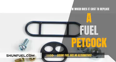 Fuel Petcock Replacement: Understanding the Cost and Process