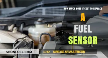 Fuel Sensor Replacement: What's the Cost?