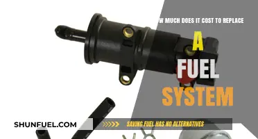 The High Cost of Fuel System Replacement