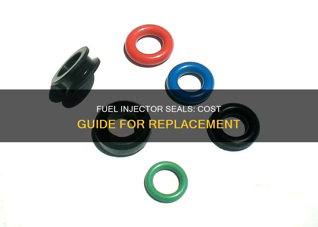 how much does it cost to replace fuel injector seals