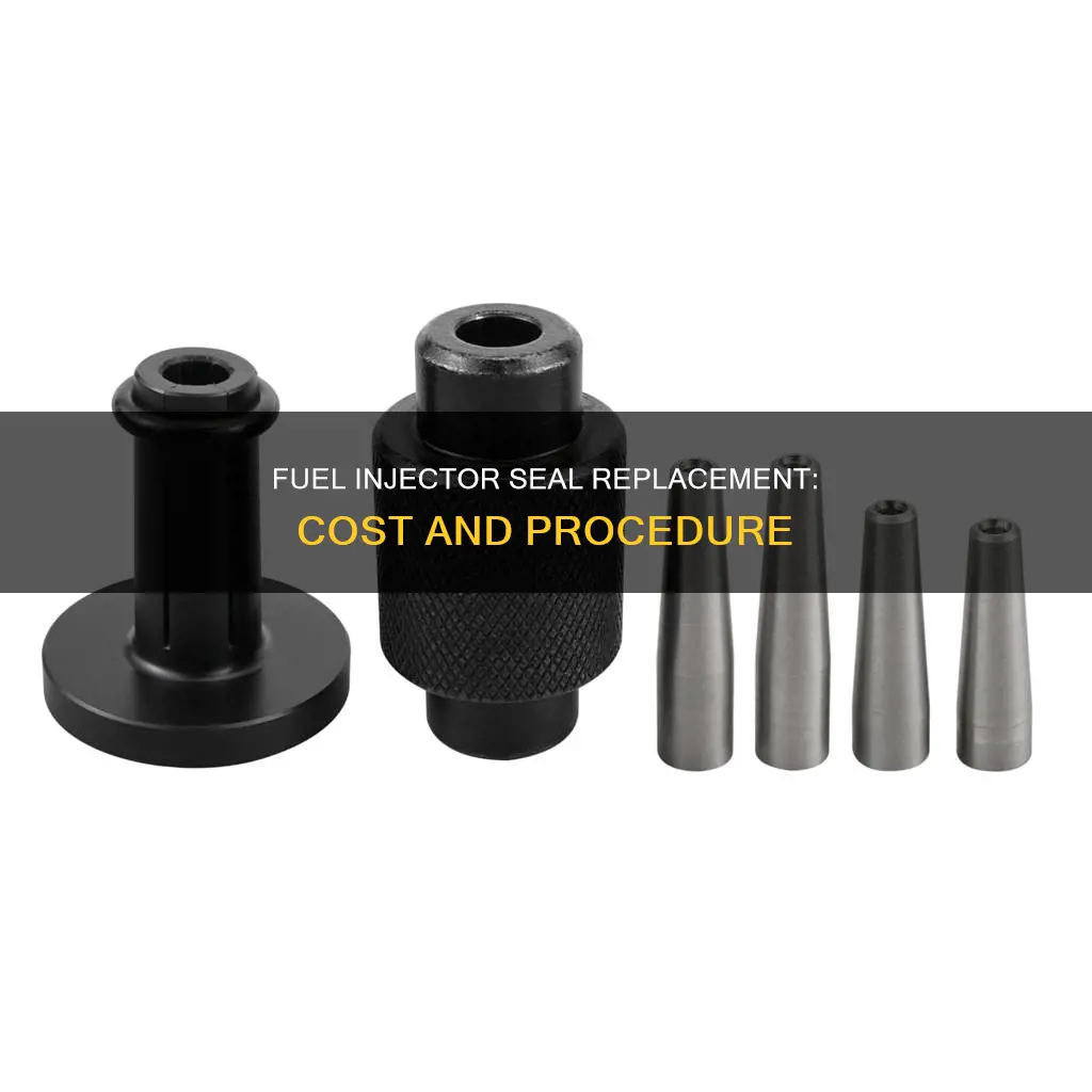 how much does it cost to replace fuel injector seals