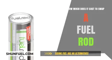 The Cost of Swapping a Fuel Rod: What You Need to Know