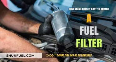Unclogging Fuel Filter: What's the Cost?