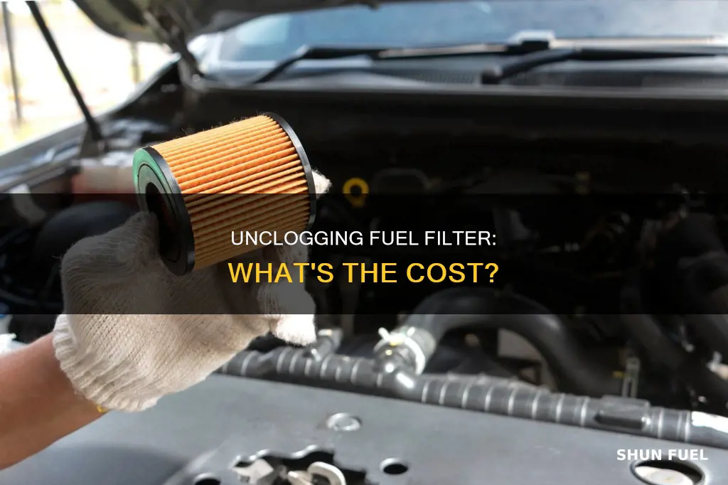 how much does it cost to unclog a fuel filter