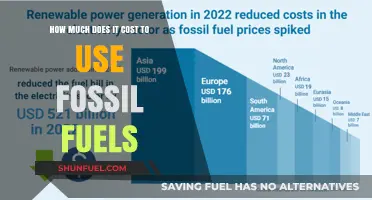 The True Cost of Fossil Fuels