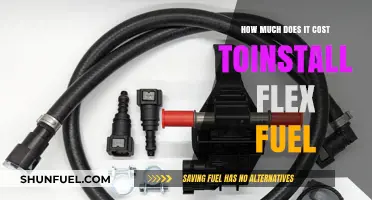 The Cost of Flex Fuel Installation