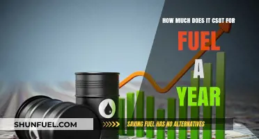 The True Cost of Fuel: Annual Expenses Revealed
