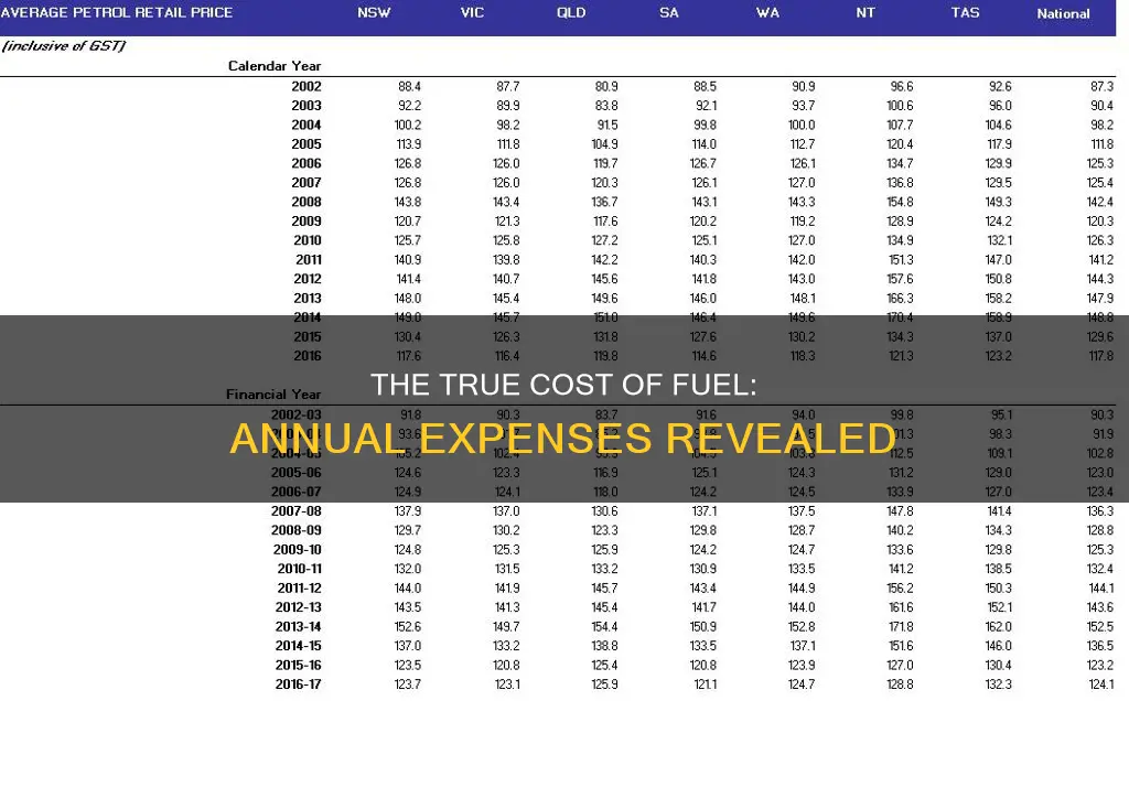how much does it csot for fuel a year