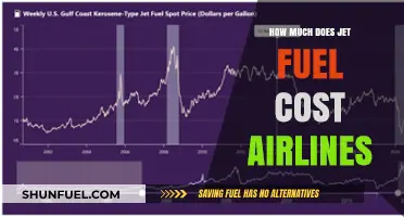 Jet Fuel Costs: Airlines' Expensive Necessity