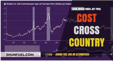 Jet Fuel Costs: Cross-Country Travel Expenses Explored