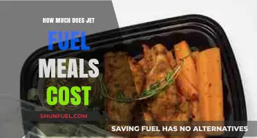Jet Fuel Meals Cost: What's the Damage?