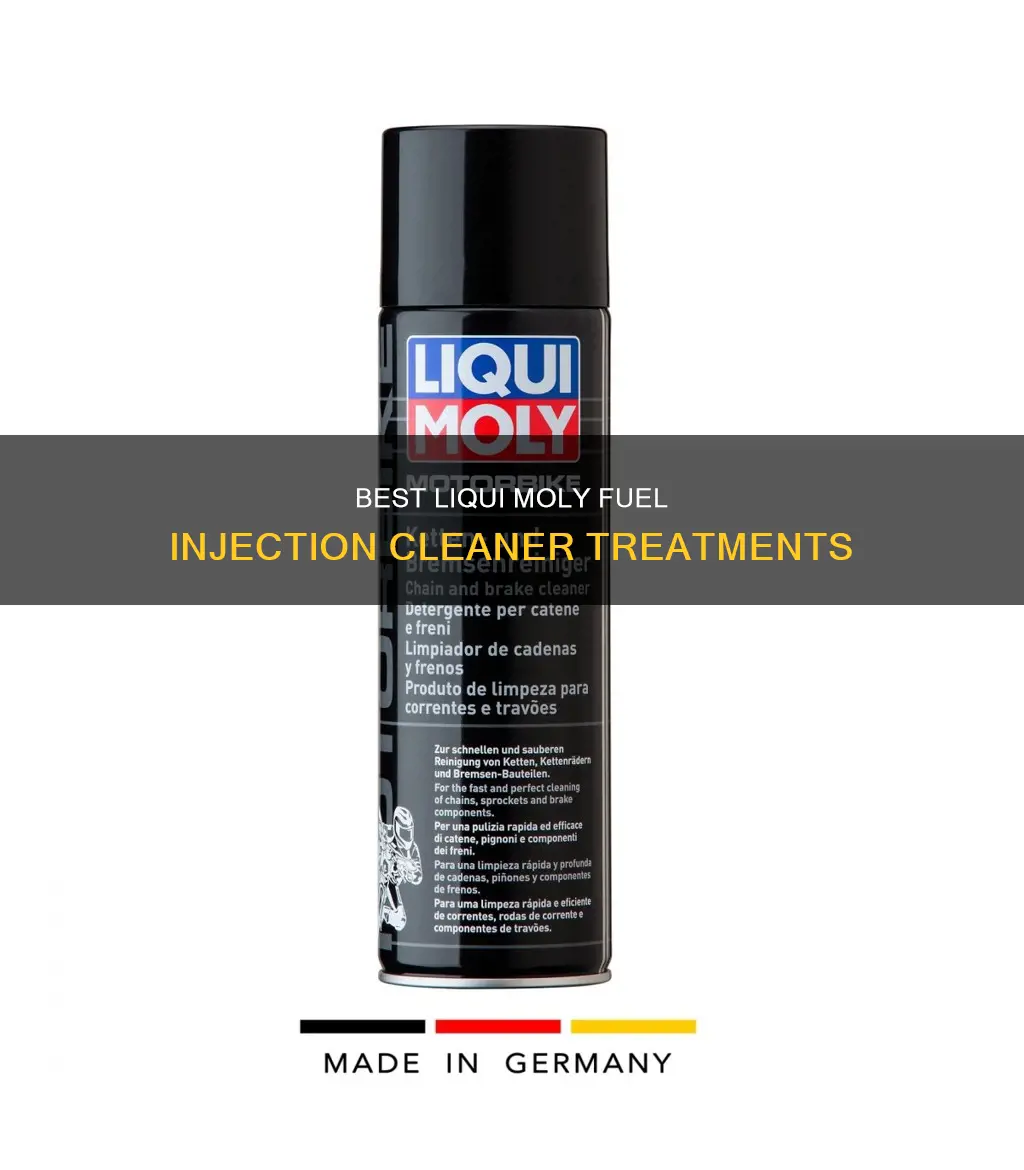 how much does liqui moly fuel injection cleaner treat
