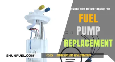 Meineke Fuel Pump Replacement: Cost Breakdown and Factors