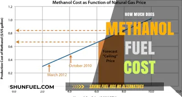 Methanol Fuel: Cost and Energy Efficiency