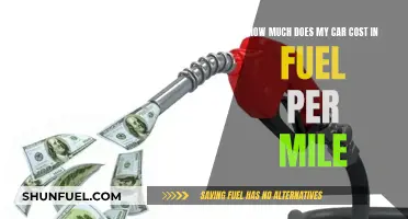 Fuel Costs: How Much Does My Car Guzzle?