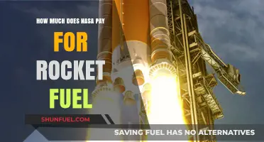 NASA's Rocket Fuel: The Cost of Space Exploration