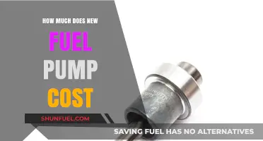 Fuel Pump Replacement: Cost and When to Change It