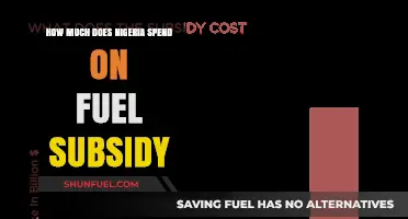 Fuel Subsidy: Nigeria's Multi-Billion Dollar Question