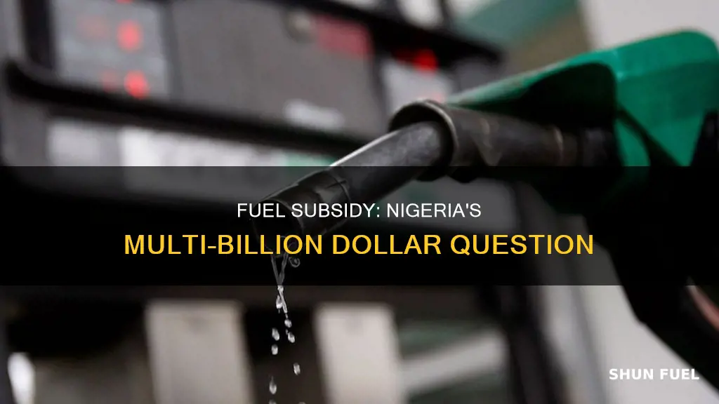 how much does nigeria spend on fuel subsidy