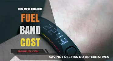 The Cost of Nike's Fuel Band: Price and Features