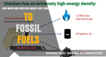 Nuclear Energy: Cheaper Than Fossil Fuels?