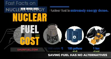 Nuclear Fuel: Cost Analysis and Insights