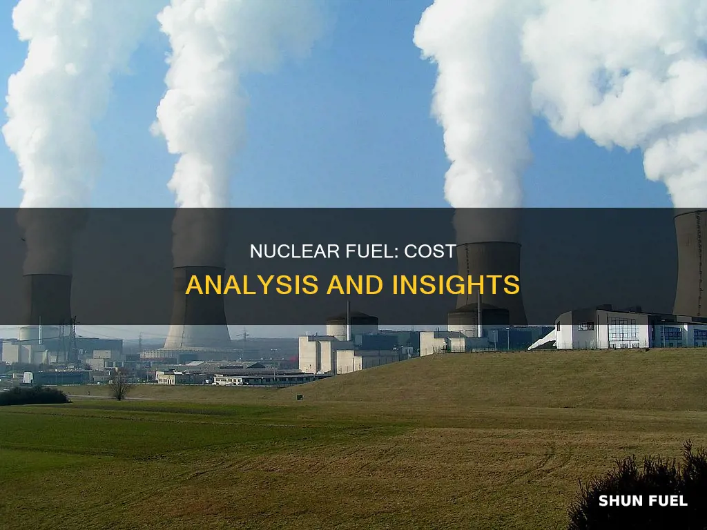 how much does nuclear fuel cost