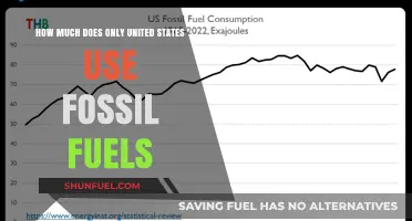 United States Fossil Fuel Consumption: A Global Perspective