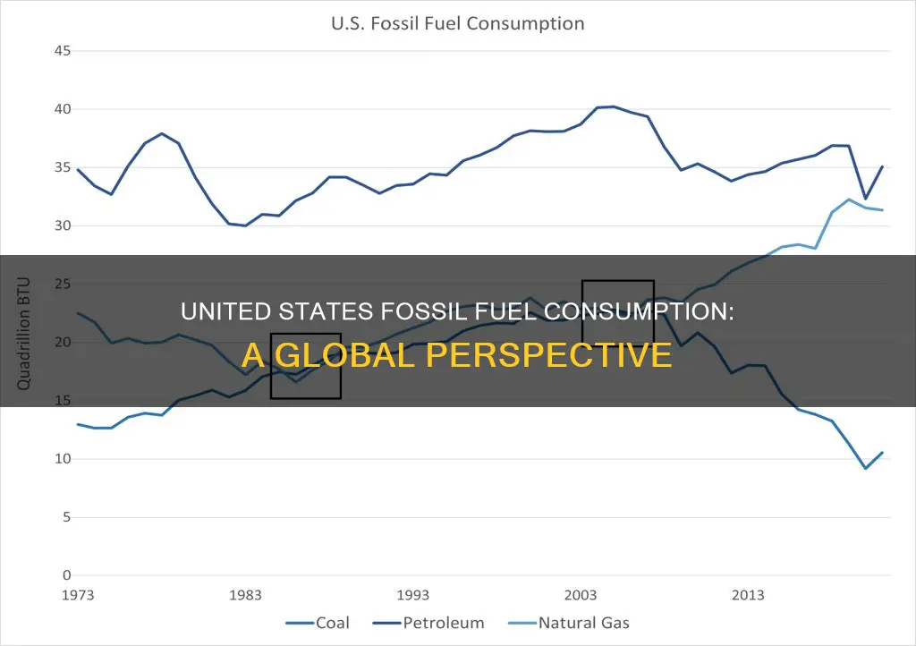 how much does only united states use fossil fuels