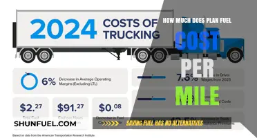 The True Cost of Plan Fuel Per Mile
