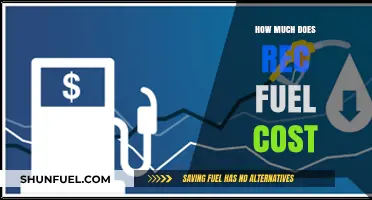 Rec Fuel Costs: How Much Does It Actually Cost?