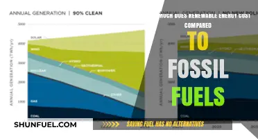Renewable Energy: Cheaper Than Fossil Fuels?