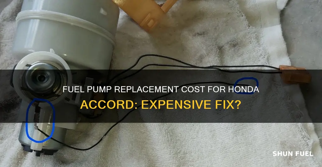 how much does replacing fuel pump cost honda accord 2001