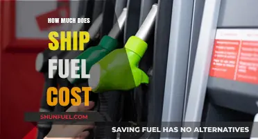 The High Cost of Ship Fuel: How Much?
