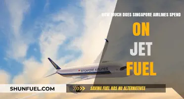 Singapore Airlines' Jet Fuel Expenses: A Deep Dive