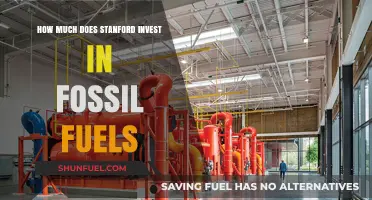 Stanford's Fossil Fuel Investments: How Much Is Too Much?