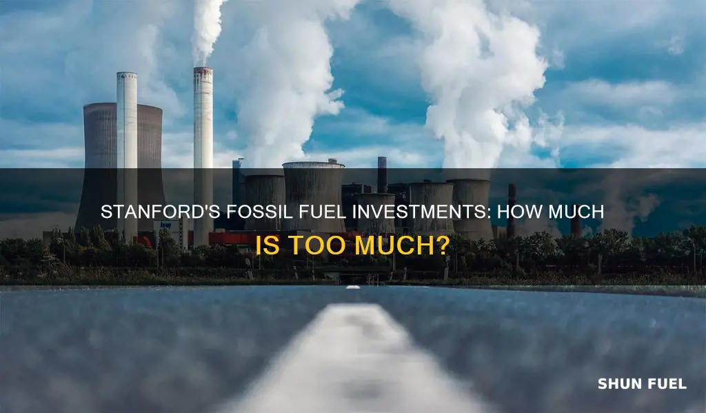 how much does stanford invest in fossil fuels