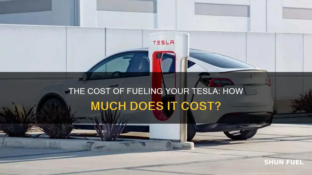 how much does tesla fuel cost